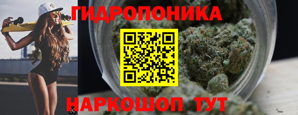 Анжеро-Судженск  Канабис White Widow  Вход с VPN  Канабис семена  Канабис Amnesia 